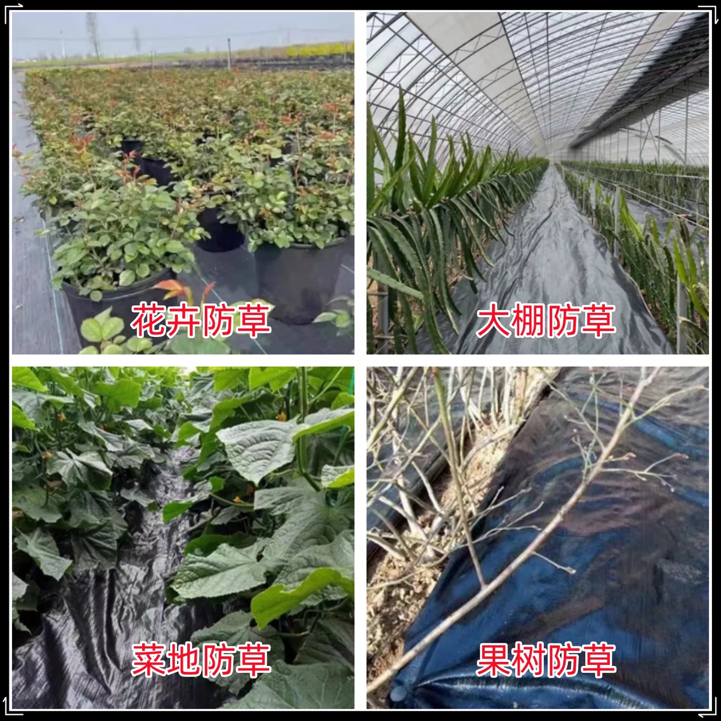 宝鸡市工程膜防草布 - 哪里好