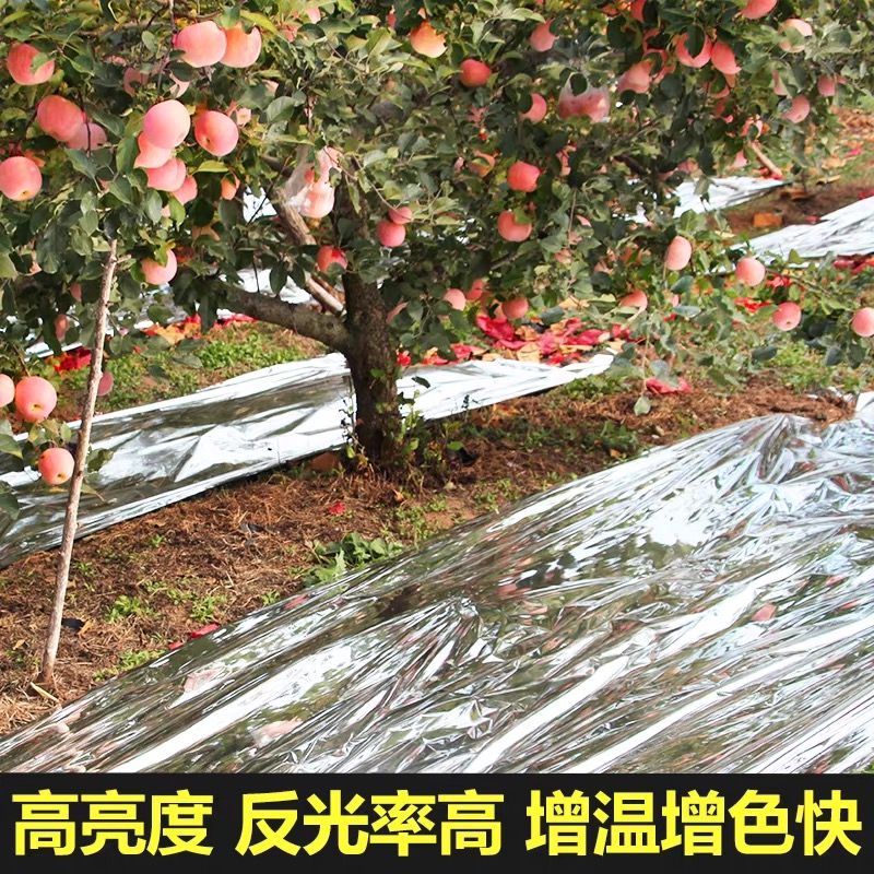 宝鸡市农用薄膜果树反光膜 - 方案
